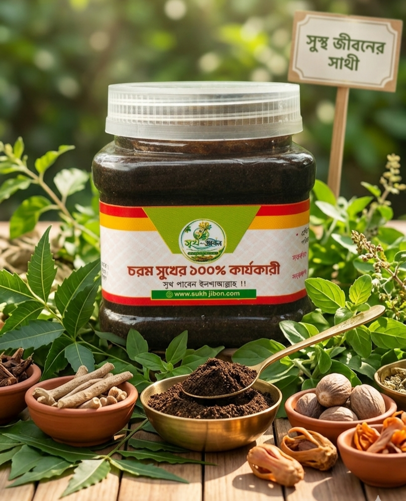 সুখ-জীবন